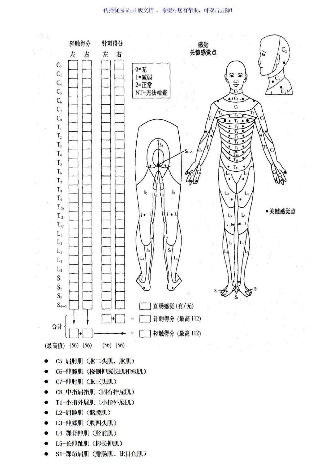 脊髓损伤的康复
