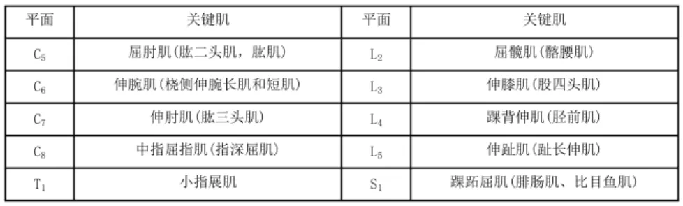 脊髓损伤的康复
