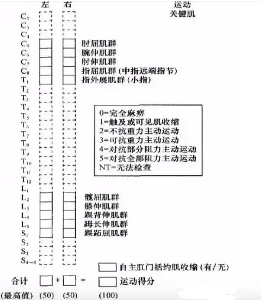 脊髓损伤的康复