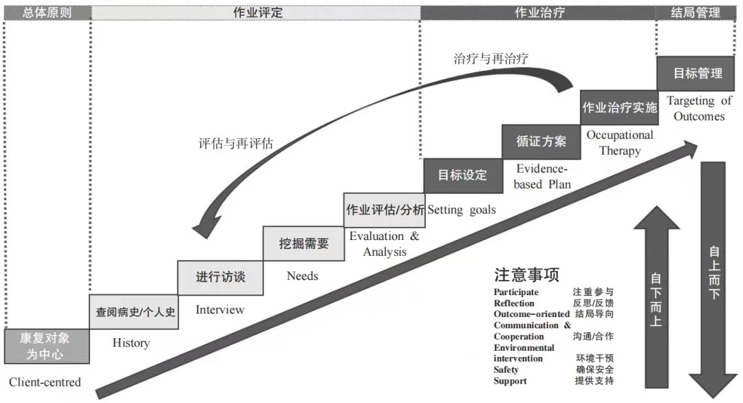 作业治疗的世界